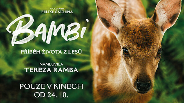 BAMBI: PRÍBEH ZO ŽIVOTA V LESE