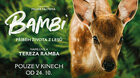 Thumb 2024 Bambi Pr Beh Zo Ivota V Lese